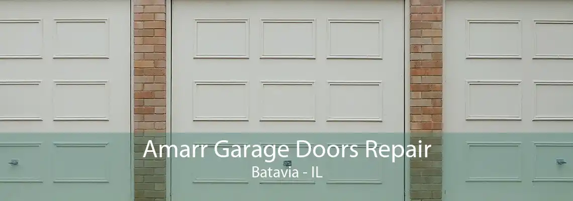 Amarr Garage Doors Repair Batavia - IL