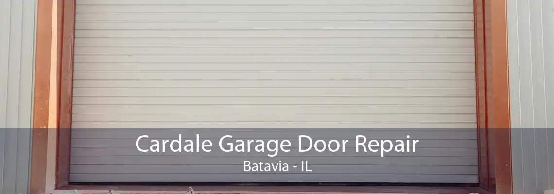 Cardale Garage Door Repair Batavia - IL