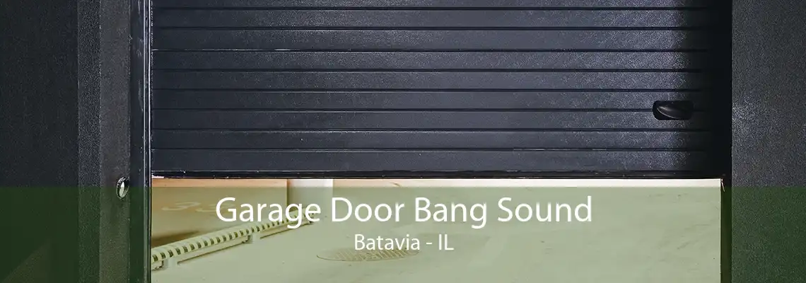 Garage Door Bang Sound Batavia - IL