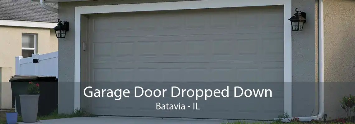 Garage Door Dropped Down Batavia - IL