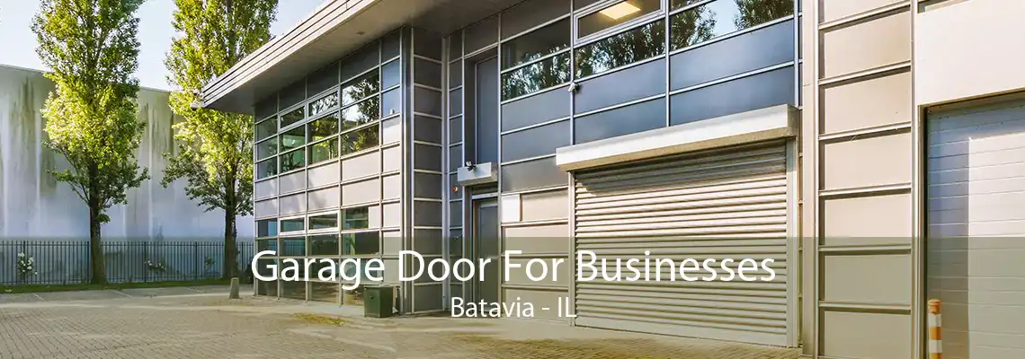 Garage Door For Businesses Batavia - IL