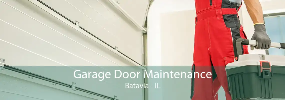 Garage Door Maintenance Batavia - IL