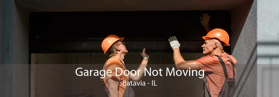 Garage Door Not Moving Batavia - IL