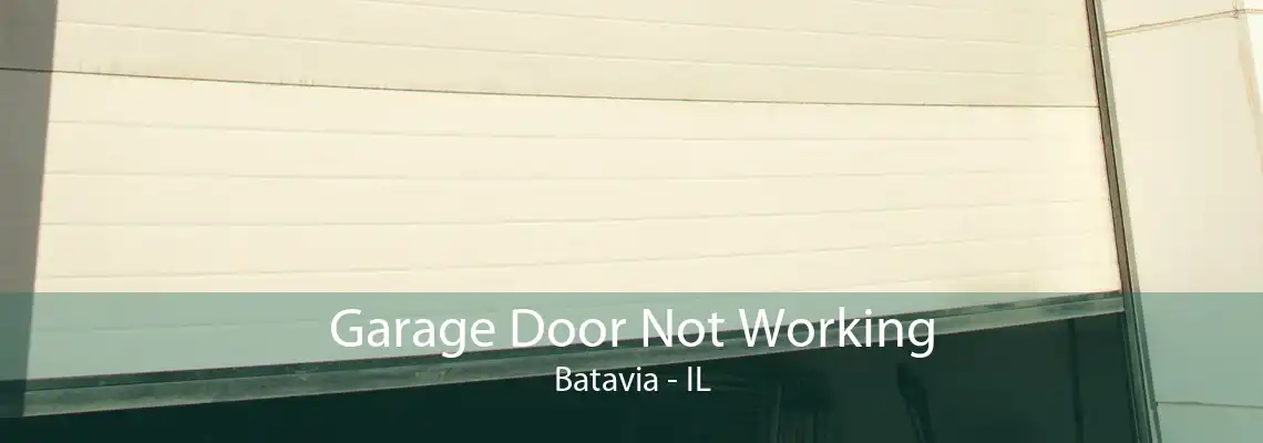 Garage Door Not Working Batavia - IL