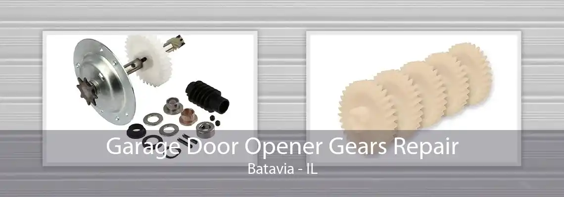 Garage Door Opener Gears Repair Batavia - IL