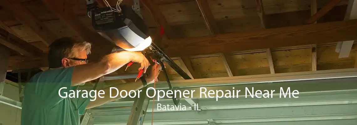 Garage Door Opener Repair Near Me Batavia - IL