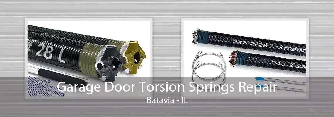 Garage Door Torsion Springs Repair Batavia - IL