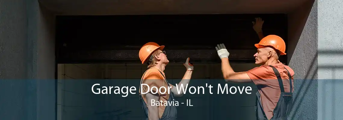 Garage Door Won't Move Batavia - IL