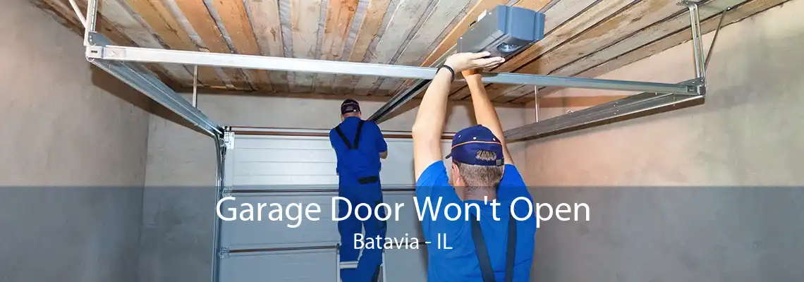 Garage Door Won't Open Batavia - IL