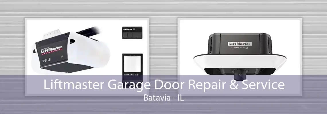 Liftmaster Garage Door Repair & Service Batavia - IL