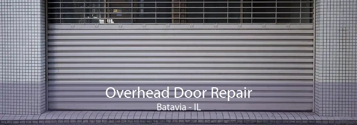 Overhead Door Repair Batavia - IL