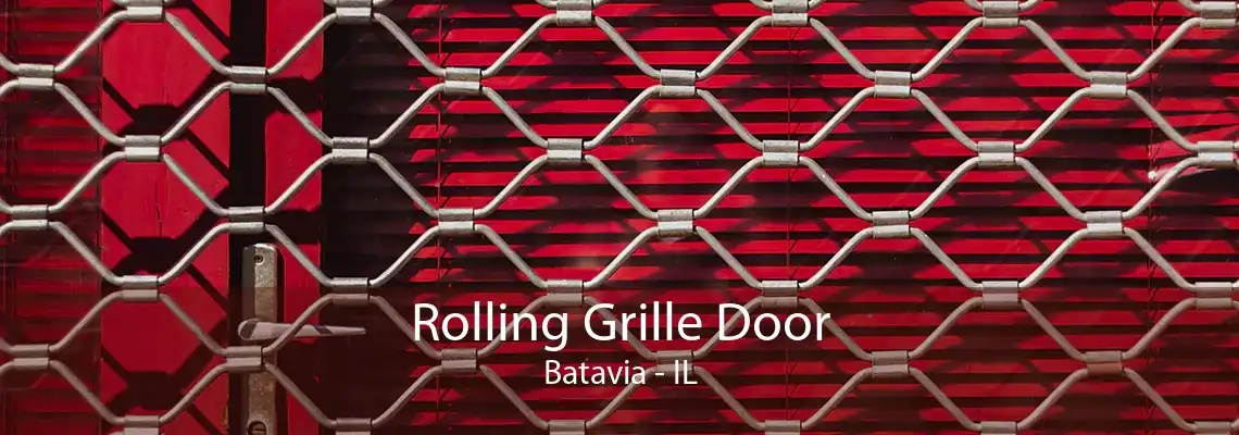 Rolling Grille Door Batavia - IL